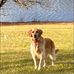 Nancy Dorner - Facebook