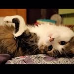 Nancy Doucet - @nancy.doucet.79 - Instagram
