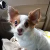 Nancy Williams-Doughty - @nancy.williamsdou - TikTok
