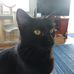 Nancy Downs - Facebook