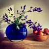 nancydorwin - @nancydorwin - TikTok