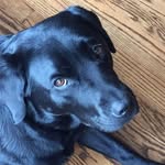 Nancy Drowne - @nancydrowne - Instagram
