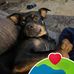 Nancy Drummond - Facebook