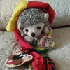 Nancy Lo Duca - @nancy.lo.duca - TikTok