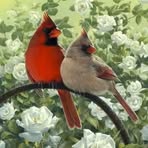 Nancy Ducharme - Facebook