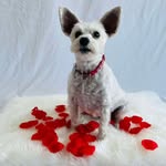 Nancy Duclos - @nancy71714098 - Instagram