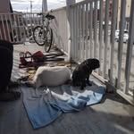 Nancy Duclos - @duclos5240 - Instagram
