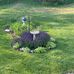 Nancy Deuel - Facebook