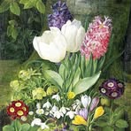 Nancy Dufek - Facebook