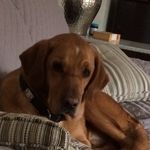 Nancy Helbling Dugan - @nhdugan - Instagram