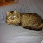 Nancy Duitscher  - Facebook