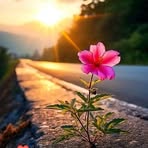 Nancy Duran - Facebook