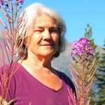 Nancy Taylor - @dunsternancy - Instagram