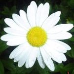 Nancy Ward Dunston - @nancywarddunston - Instagram