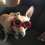 Nancy Mehl Dunton - @windseekerfaelkis - Instagram