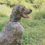 Nancy Du Plessis - @nancyduplessis - Instagram
