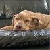 Nancy Durr - Facebook