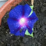 Nancy Durso - @dursonancy - Instagram