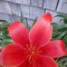 Nancy Durso - Facebook