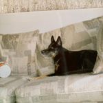 Nancy Watson Durso - @durso_nancy - Instagram
