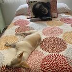 Nancy Duryea - @n.duryea - Instagram