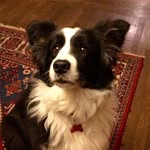 Nancy Dutcher - @dutchernancy - Instagram