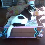 Nancy Dutra - Facebook