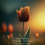 Nancy Dutra - Facebook