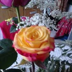 Nancy Dutra Gonzalez - @nancydutrag - Instagram