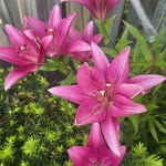 Nancy Dutton - @dutton.nancy - Instagram