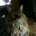 Nancy Dutton Bankston - @nancy.duttonbankston - Instagram