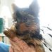 Nancy Dye - Facebook