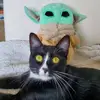 Nancy Dye Regina - @nancydyeregina - TikTok