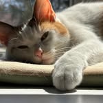 Nancy Koch Dynes - @ndynes - Instagram