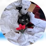 Nancy Eades - @nancy.eades.85 - Instagram