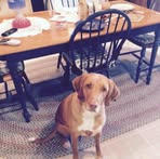 Nancy Eakins - Facebook