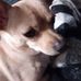 Nancy Earles - Facebook