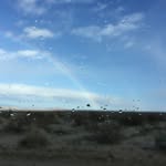 Nancy Eastham - @nleastham - Instagram