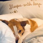 Nancy Eberle - @nancyceb - Instagram