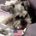 Nancy Petrini Eberle - Facebook