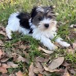 Nancy Ebner Knedlik - Facebook
