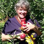 Nancy Eckert - @nancyeckert372 - Instagram