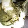 Nancy Eckert - @nancy.eckert4 - TikTok