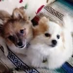 Nancy Boeckmann - @nancyboeckmann - Instagram