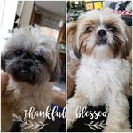 Nancy Edginton- Hernandez - @nanscakes - Instagram