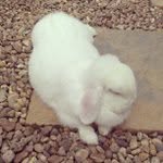 Nancy Edick - @katruconic - Instagram