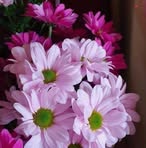 Nancy Edison - Facebook
