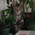 Nancy R Edler - @nrrged - Instagram