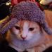Nancy Edlund - Facebook