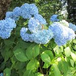Nancy Edlund - @nancyedlund4 - Instagram